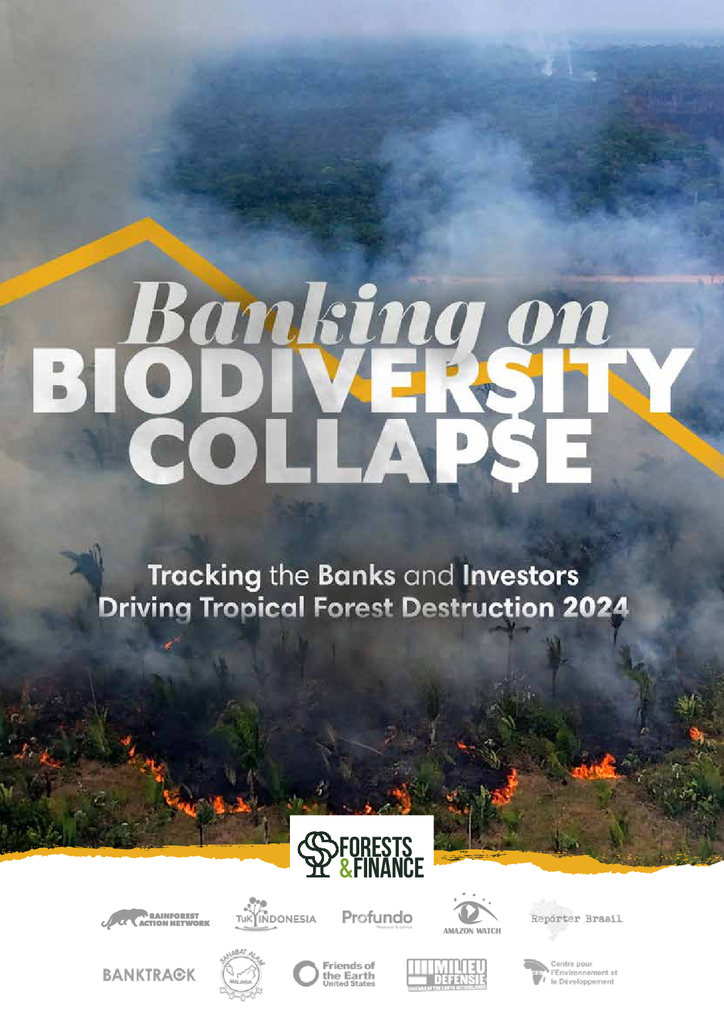 Voorbeeld van de eerste pagina van publicatie 'Banks are increasingly investing in deforestation'