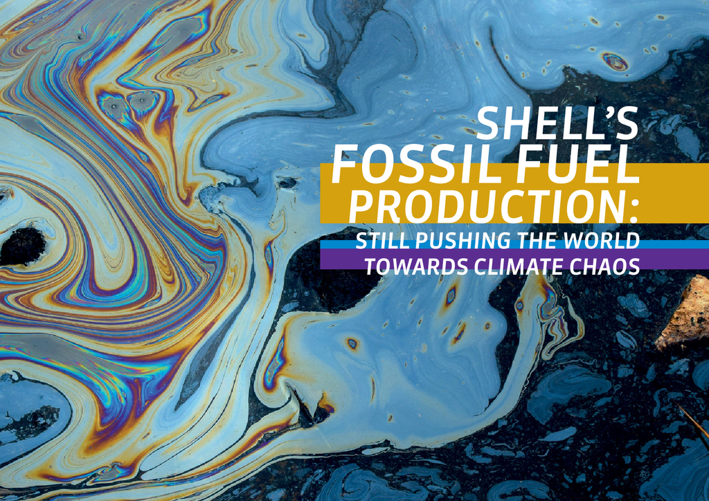 Voorbeeld van de eerste pagina van publicatie 'Comprehensive data investigation into Shell's oil and gas plans'