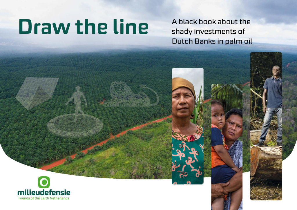 Voorbeeld van de eerste pagina van publicatie 'Draw The Line: A black book about the shady investments of Dutch Banks into palm oil'