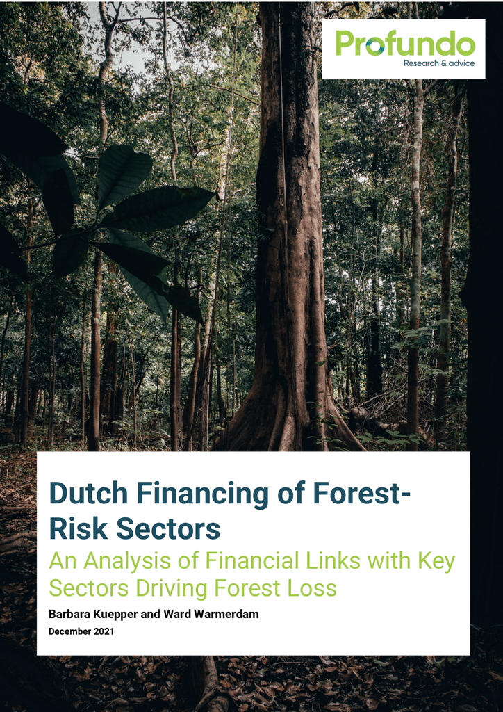 Voorbeeld van de eerste pagina van publicatie 'Research Profundo: Dutch Financing of Forest- Risk Sectors'
