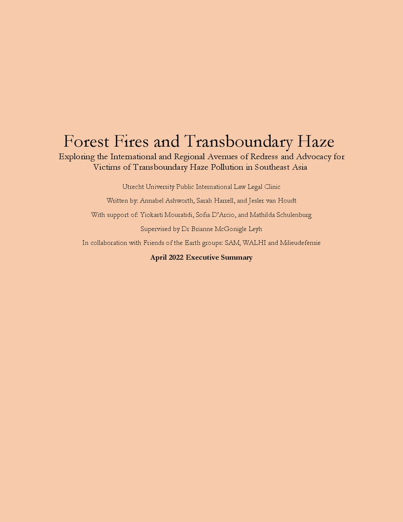 Voorbeeld van de eerste pagina van publicatie 'Research: international solutions for wildfire damage'
