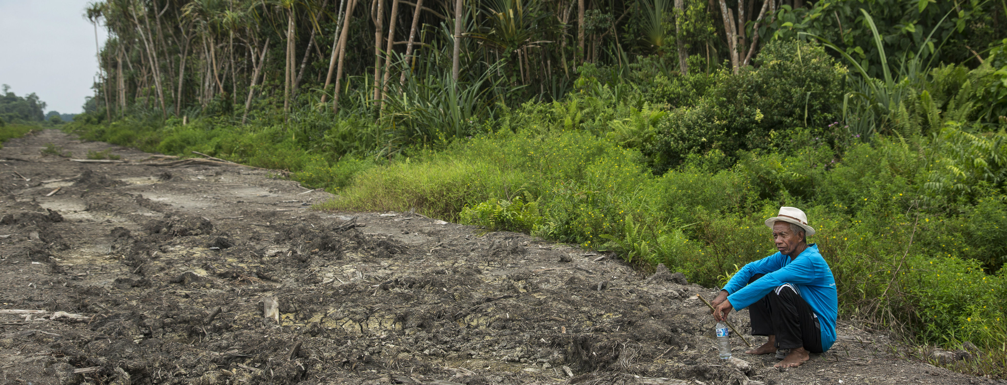 Fact sheet what ABN AMRO, ING and Rabobank are not telling you about