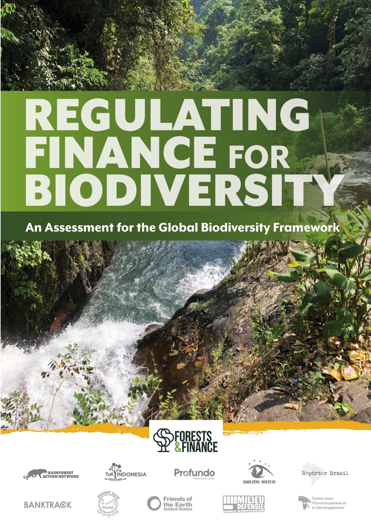 Voorbeeld van de eerste pagina van publicatie 'Regulation of banks is needed to achieve biodiversity goals'