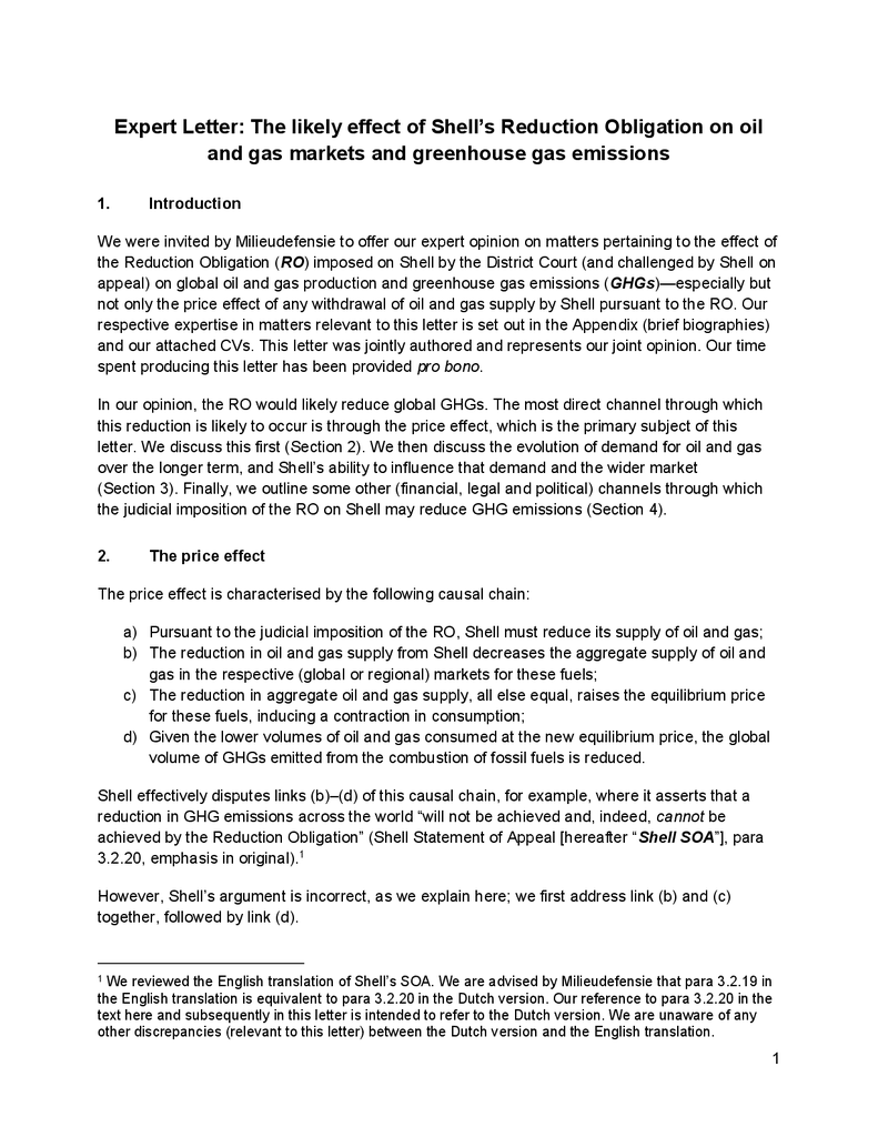 Voorbeeld van de eerste pagina van publicatie 'First expert statement on the likely effect of Shell's reduction obligation'