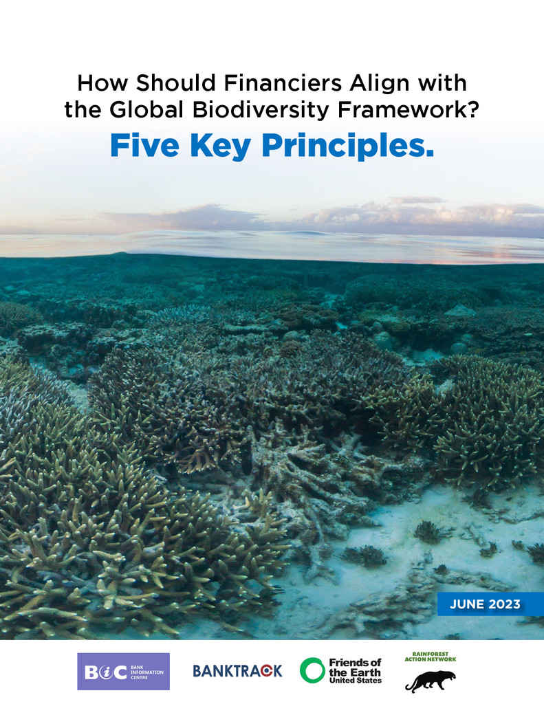 Voorbeeld van de eerste pagina van publicatie 'How banks and financiers should align with the Global Biodiversity Framework'