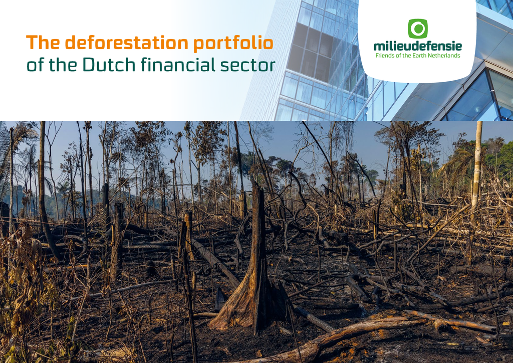 Voorbeeld van de eerste pagina van publicatie 'How the Dutch financial sector contributes to deforestation'